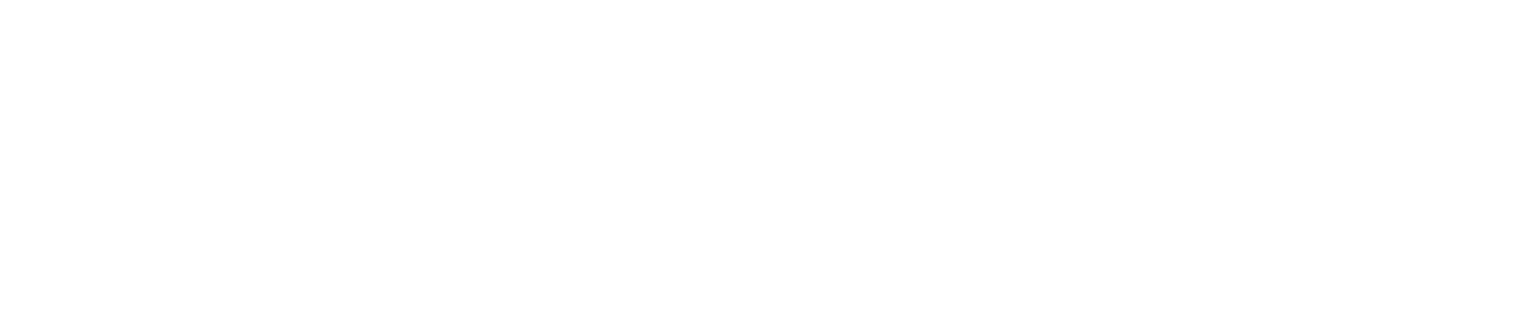 Nikolaus Tater Logo